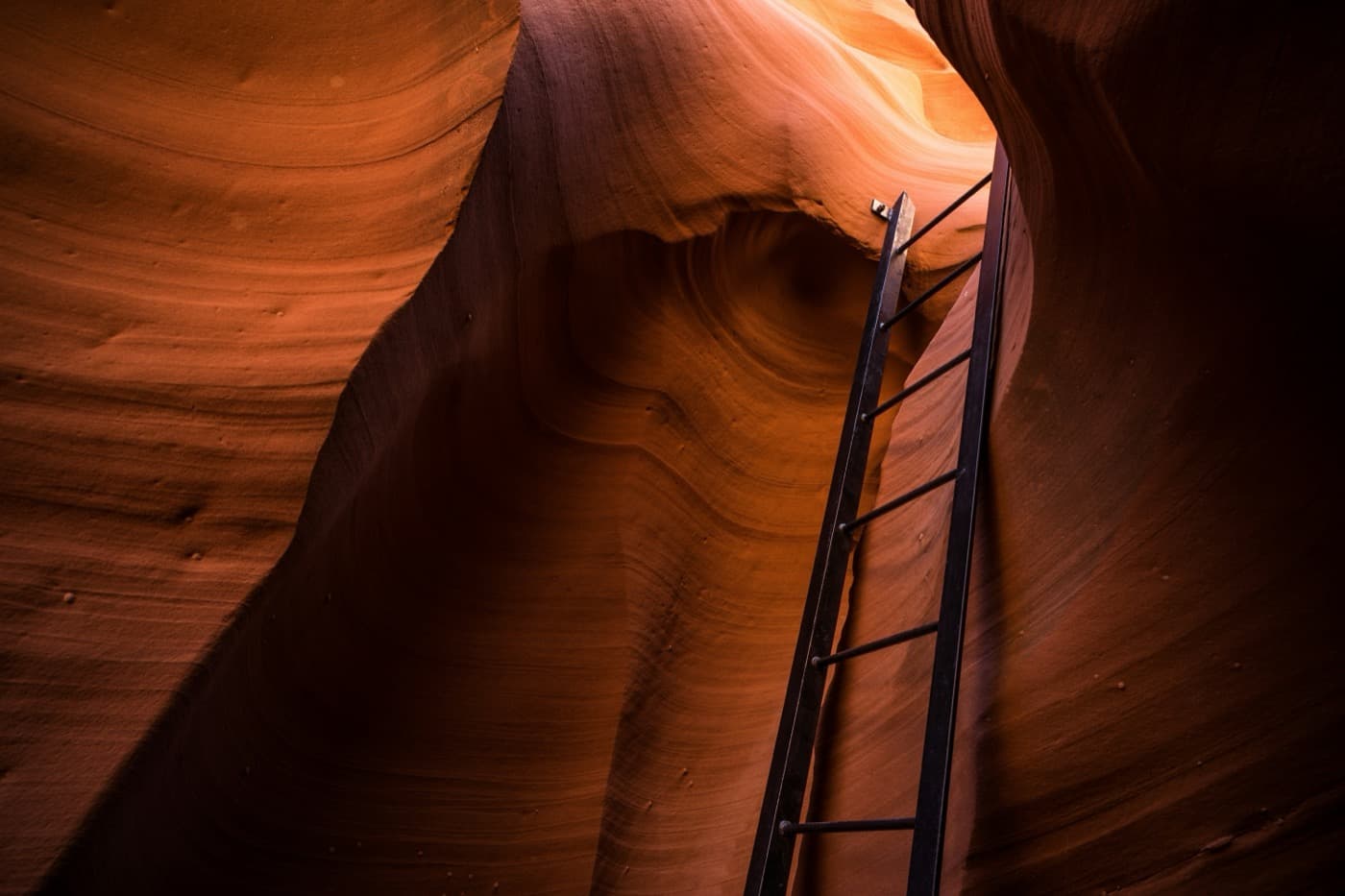 Navigating Your Marketing Career